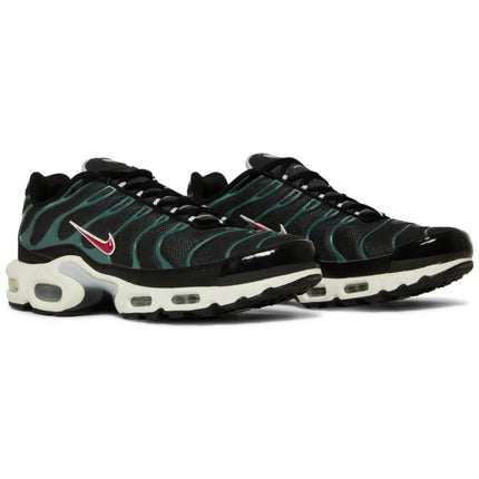 Nike Air Max Plus 'Anthracite Hasta'