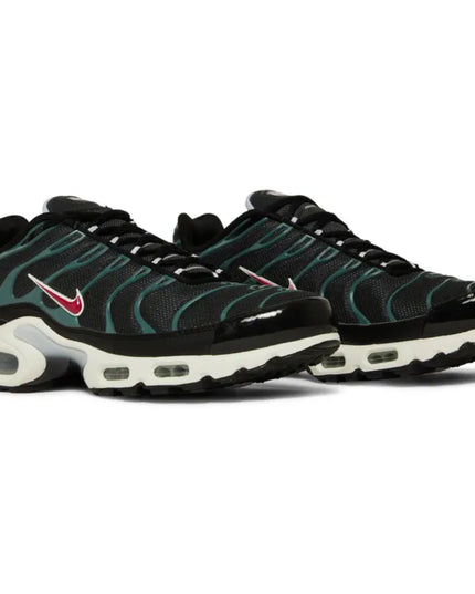Nike Air Max Plus 'Anthracite Hasta'