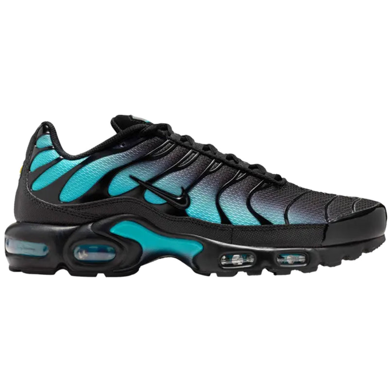 Nike Air Max Plus 'Black Dusty Cactus'