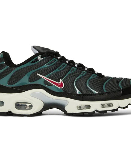 Nike Air Max Plus 'Anthracite Hasta'