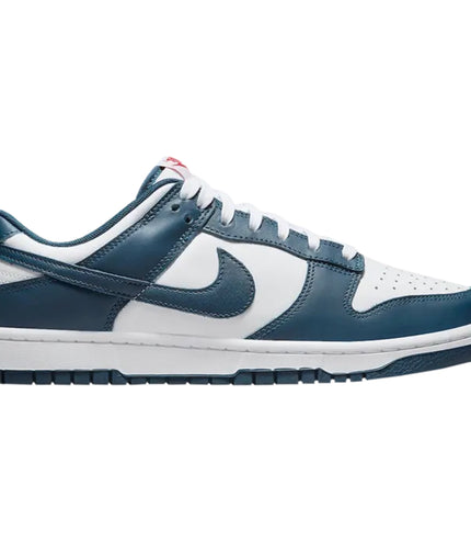 Nike Dunk Low 'Valerian Blue'