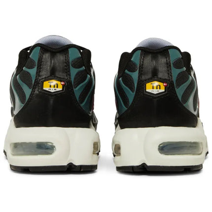 Nike Air Max Plus 'Anthracite Hasta'