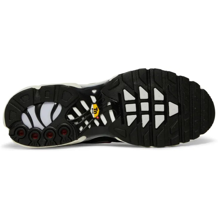 Nike Air Max Plus 'Anthracite Hasta'