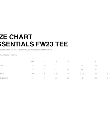 FEAR OF GOD ESSENTIALS T-Shirt - Silver Cloud (FW23)