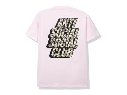 ASSC Kitten Tee - Pink