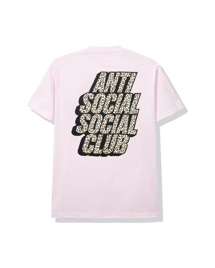 ASSC Kitten Tee - Pink