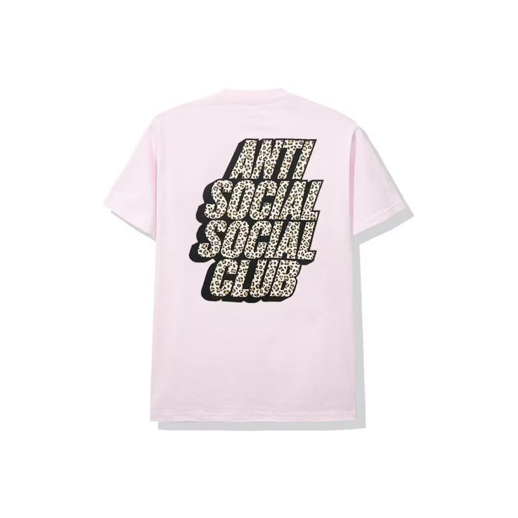 ASSC Kitten Tee - Pink