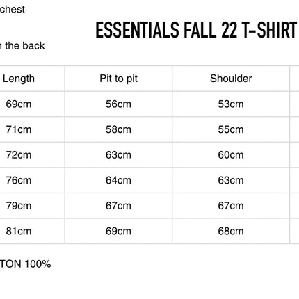 FEAR OF GOD ESSENTIALS T-Shirt - Smoke (Fall 22)