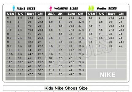 Air Jordan 1 Retro High 'Satin Snake Chicago' (Women's)