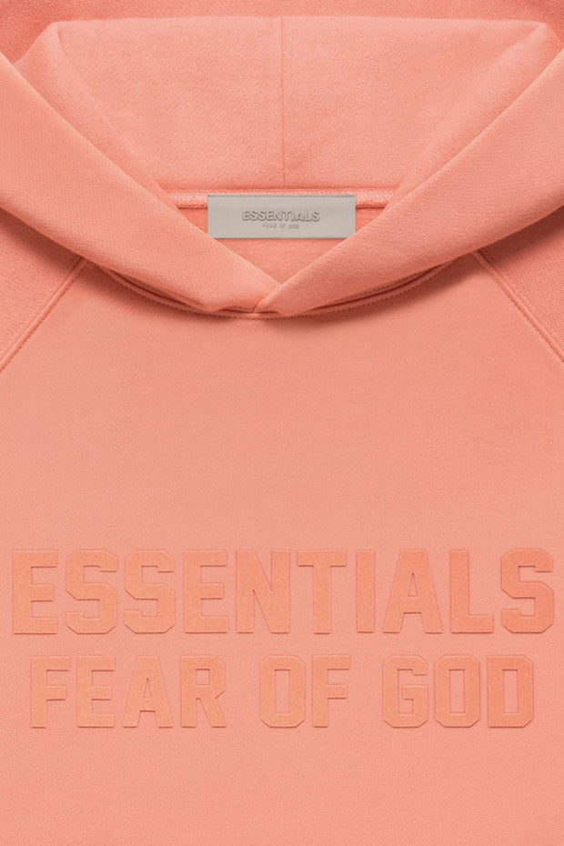 ANTI SOCIAL SOCIAL CLUB Pull-Over Hoodie - Coral (Fall 22)