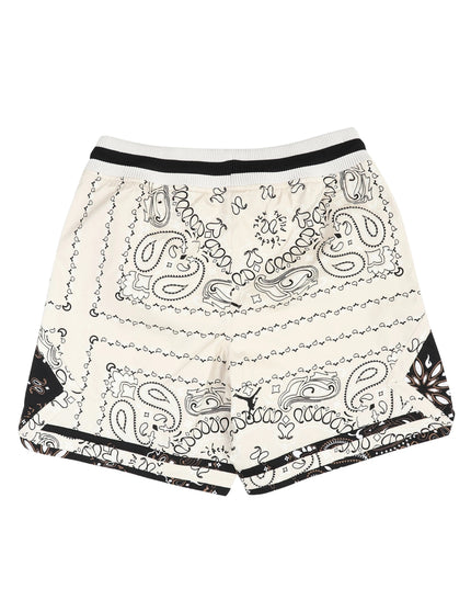 Travis Scott x Jordan Paisley Shorts - Orewood