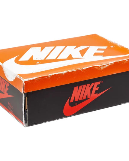 Air Jordan 1 Retro High OG 'Chicago Lost & Found'